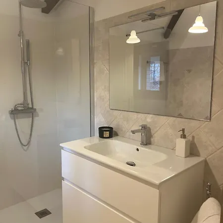 Con Piscina Vicino Venezia Villa